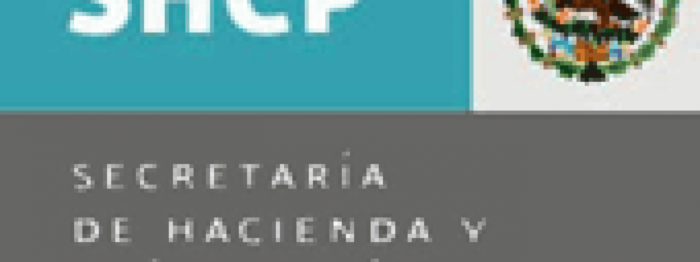 La Secretaría de Hacienda y Crédito Público de México AFI’s