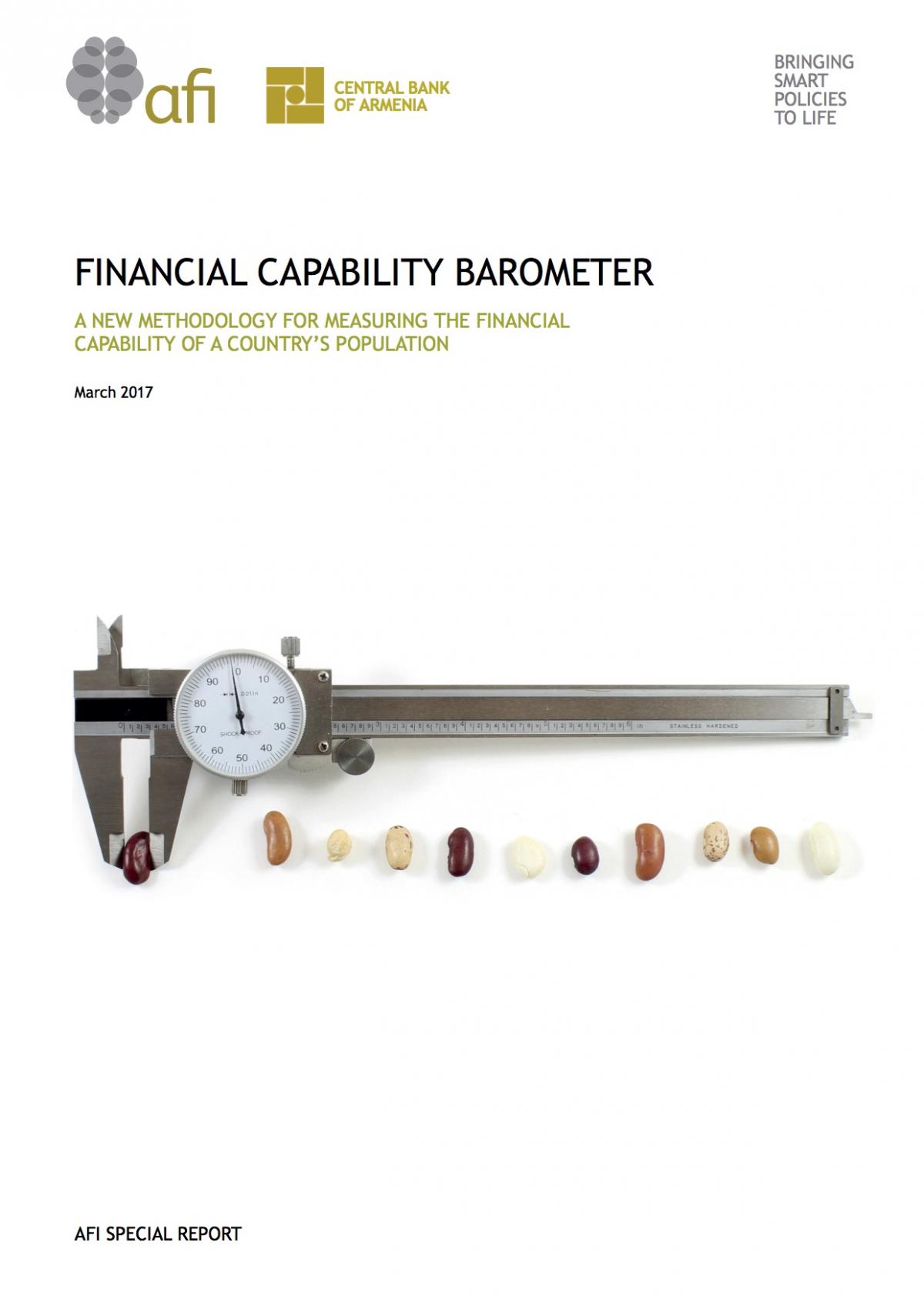 Financial Capability Barometer Alliance for Financial Inclusion