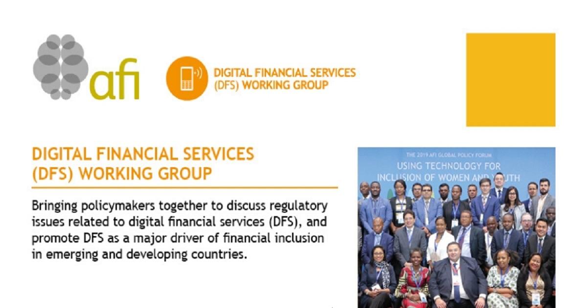 Digital Financial Services (DFS) Working Group 2020 Factsheet